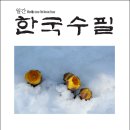 한국수필 2023년 02월호(통권 336호) 이미지