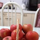 박달재농원 이미지