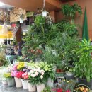 동성하이타운시장 이미지