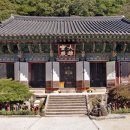 대흥사 티스토리