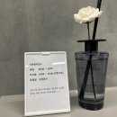 베리 핏 피티 이미지