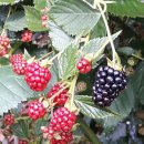 만해농장 이미지