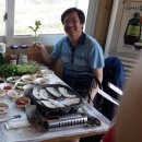 청도소싸움테마파크 이미지