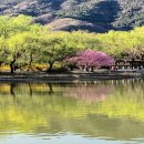 조마루로85번길 18 | 철거의 거친 현장과 폭포의 유려한 흐름이 만나는 묘한 대비 이야기