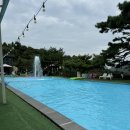 더히로 플레이그라운드 | 포천 애견수영장 ‘더히로플레이그라운드’ 카라반 당일치기 후기(+개별 바베큐 가능)