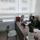 성남대로779번길 이미지