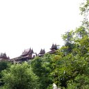 형민농장 | HONEYMOON 치앙마이(2024/07.02~07.07)