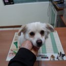 곰달래로6길 이미지