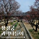 어린이 건축교실 | 국립어린이과학관 창경궁 과학나들이 수업 솔직 후기
