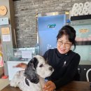 with dog(위드독) 이미지