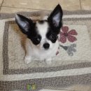 자연은 동물병원 이미지