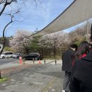 새마을로1R-46 | 이천 도자기마을 B품 구매 꿀팁과 실사용 후기까지 [너븐재, 토토공방, 라기환, 가마가텅빈날, 그루...