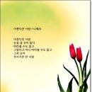 아름다운 사람 / 나태주 이미지