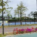 청라 호수공원 족구장 이미지