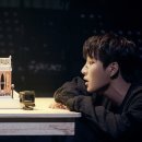 개와고양이 이미지