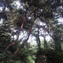 찬호수산