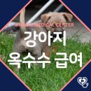 장현 동물병원 이미지