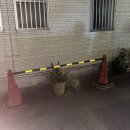 [도쿄 3박4일 코스] 가볼만한곳 모음, 방문후기 (+4월 벚꽃개화)