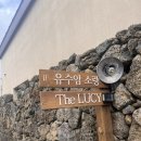 유수암소랑 | 제주 애월 감성숙소 유수암 소랑(+airbnb 예약)