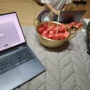 경기 당일치기 서울근교 촌캉스 삼상리상회 내돈내산