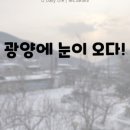광양볼트