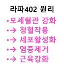 라파라파