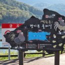 평지못 공중화장실 이미지