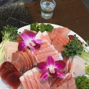 대정로 | 부평 참치 맛집 내돈내산｜가성비 끝판왕 참치한사라 솔직후기