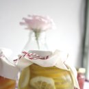 더비스킷스튜디오 이미지