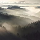 바바리아 이미지