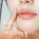 길약품 | 한미약품 프로캄 판테놀 립에센스 악건성의 내돈내산 후기