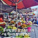 두리안 | 겨울 푸꾸옥 여행 망고 망고스틴 두리안 후기 가격 당도 새로운 과일소개