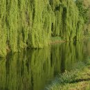 천안삼거리(서울) 이미지