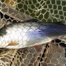 활주로낚시터 이미지