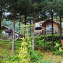 칼봉산자연휴양림 이미지