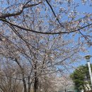 신장근린공원2 이미지