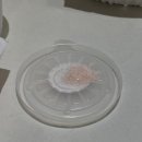 구도로통닭익산 | 익산 모현동 맛집 , 구도로 누룽지통닭 배달로 먹어본 솔직후기
