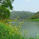 호저낚시터 이미지