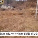 G1159 네이버블로그
