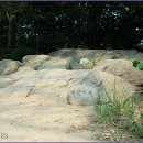 우면산7-2-5 이미지