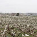 왕지농장 이미지