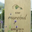 모래불 펜션 이미지