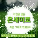 피누스스토어온새미로 이미지