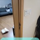 문*선 - 안양시 만안구 연현로79번길 | 문*선