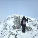언건 | 전북 무주 리조트 덕유산 곤도라 케이블카 25. 12. 15. 월요일 상고대 눈꽃 산행