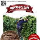 여주-0881 Daum카페