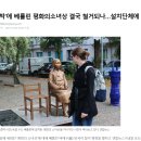 독일 베를린시 미테구가 소녀상 철거 명령... 외무부의 압박이 있었던 것으로 추정 이미지