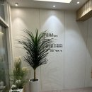 중간고사 후기