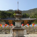 동해삼화사삼층석탑 | [보물 1277호] 동해 삼화사 삼층석탑 (강원 동해시)