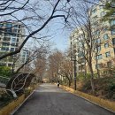 KT 옆(교동길) 이미지